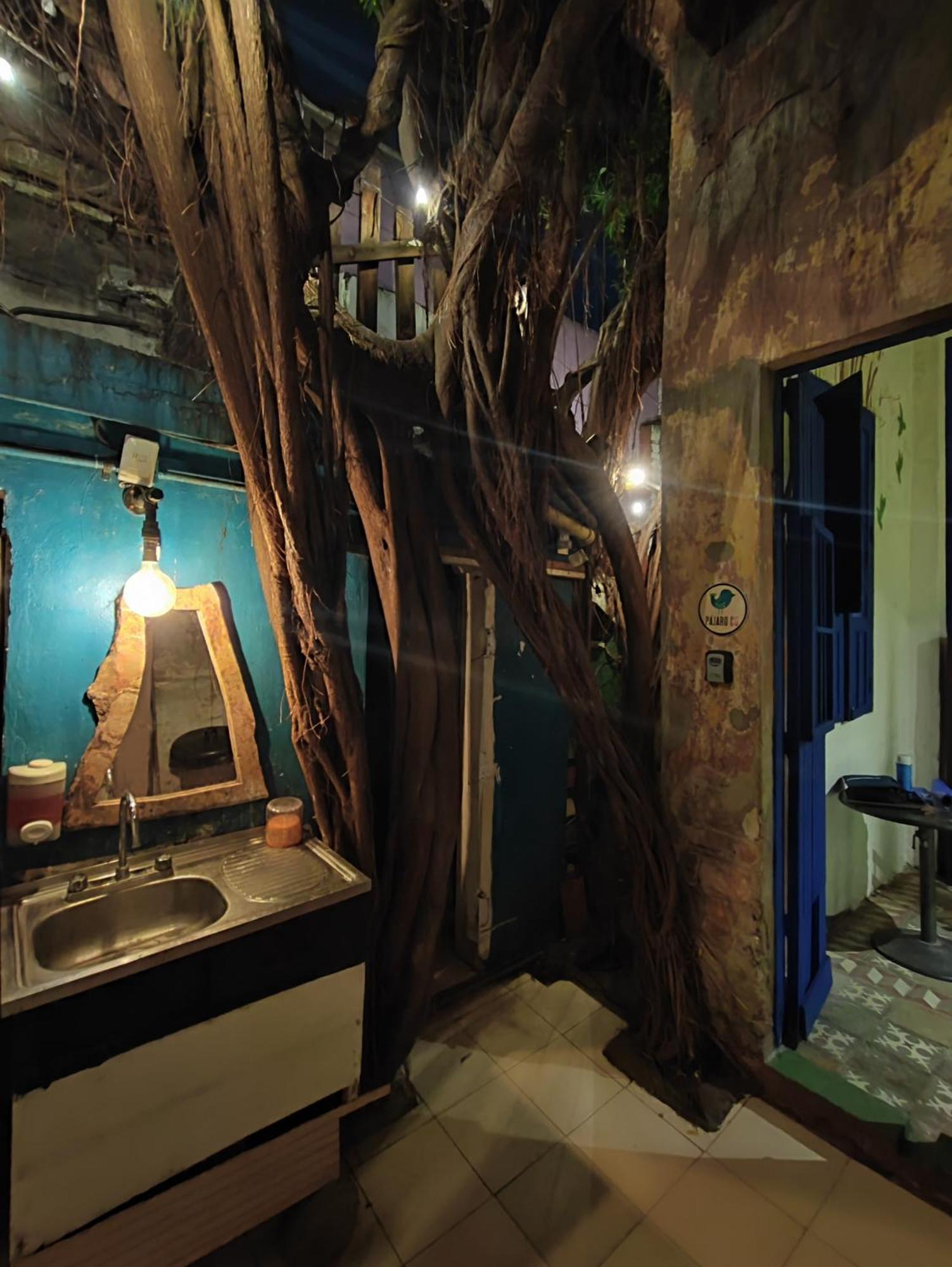Chuchumbe Hotel & Hostal فيراكروز المظهر الخارجي الصورة